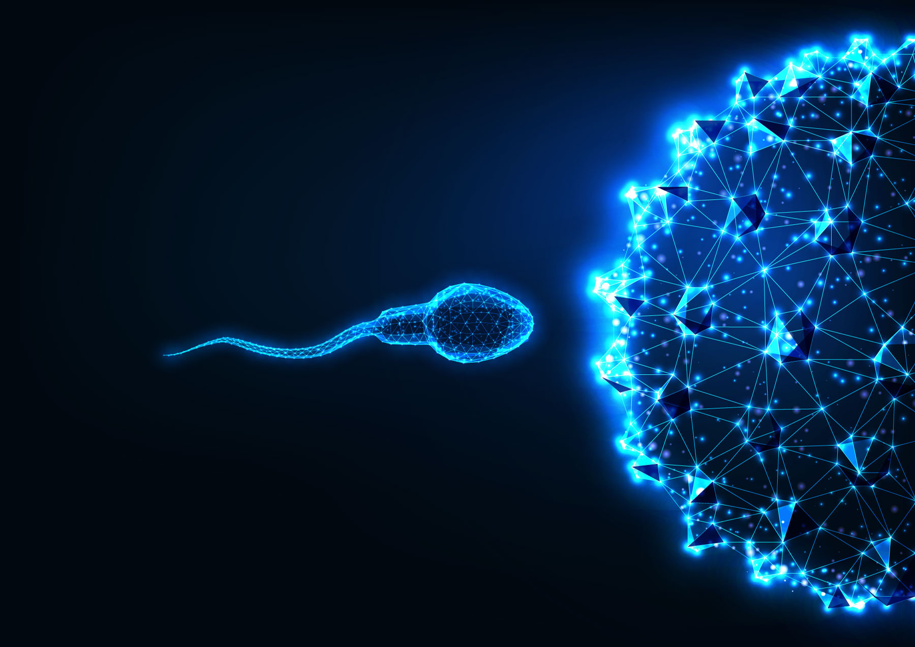 Stylized digital picture representing a sperm moments before fertilizing an egg.