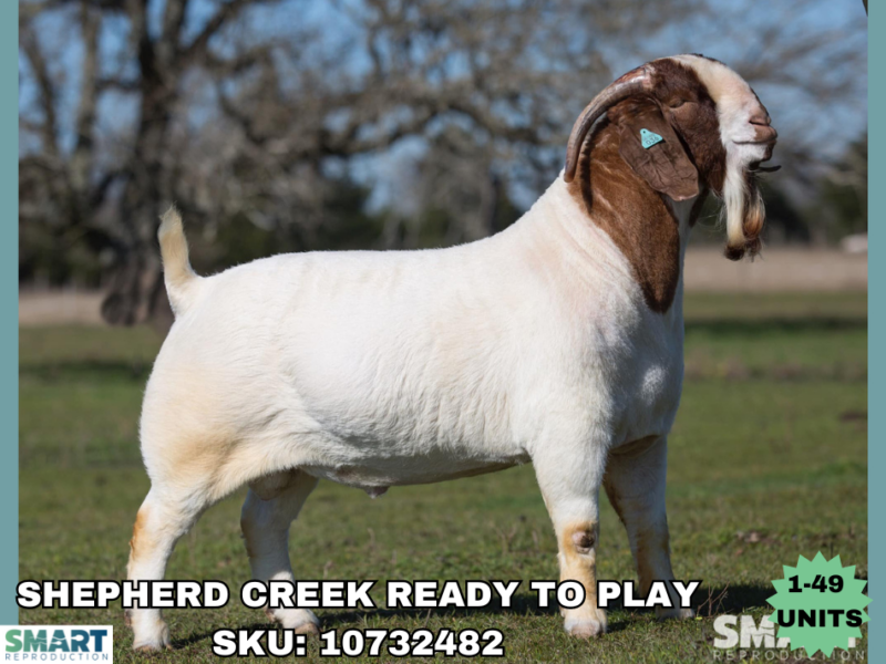 SHEPHERD CREEK READY TO PLAY (1-49 Units)