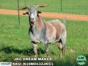 JKC DREAM MAKER (1-49 Units)