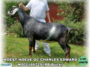 WOEST-HOEVE GC CHARLES EDWARD (1-49 Units)