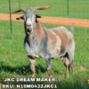 JKC DREAM MAKER Kiko goat sire listed in the SMART Reproduction catalogue.