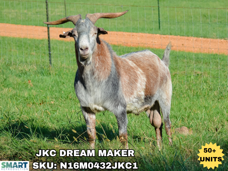 JKC DREAM MAKER Kiko goat sire listed in the SMART Reproduction catalogue.