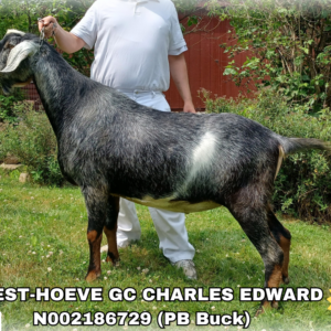WOEST-HOEVE GC CHARLES EDWARD (50+ Units)