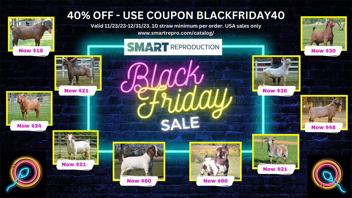 Black Friday Sale 40% Off!