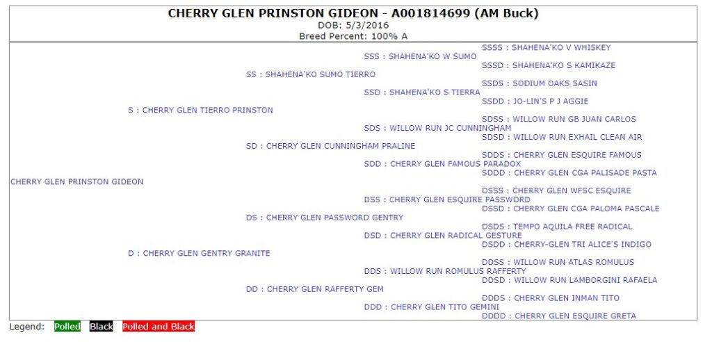 Official five generation American Dairy Goat Association pedigree for CHERRY GLEN PRINSTON GIDEON.