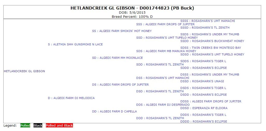 This image is an official five-generation American Dairy Goat Association pedigree issued for HETLANDCREEK GL GIBSON.
