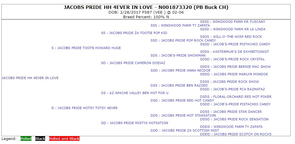 Four generation pedigree forJACOBS PRIDE HH 4EVER IN LOVE.