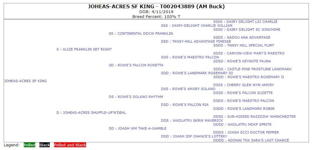 official five generation American Dairy Goat pedigree issued for JOHEAS-ACRES SF KING.