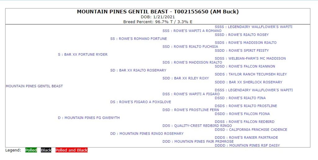 Official five generation pedigree for MOUNTAIN PINES GENTIL BEAST issued by the American Dairy Goat Association.