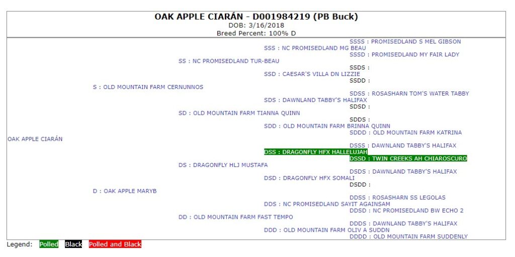 The official five-generation American Dairy Goat Association pedigree issued for OAK APPLE CIARÁN.