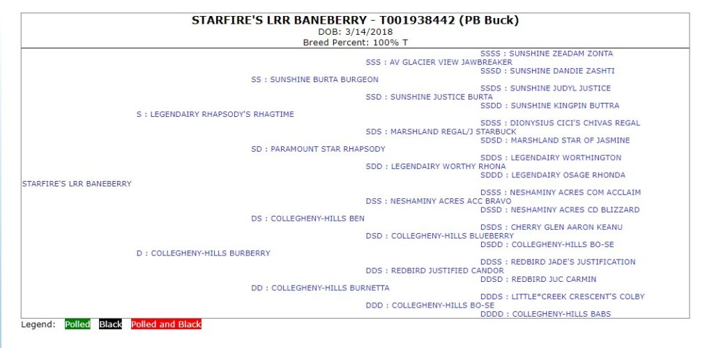 Official American Dairy Goat Association five generation pedigree for STARFIRE’S LRR BANEBERRY.