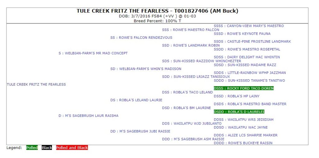 Official five generation American Dairy Goat Association pedigree issued for TULE CREEK FRITZ THE FEARLESS.