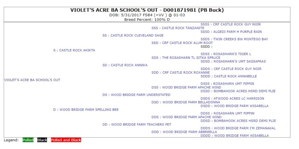 The official five-generation American Dairy Goat Association pedigree issued for VIOLET'S ACRE BA SCHOOL'S OUT.
