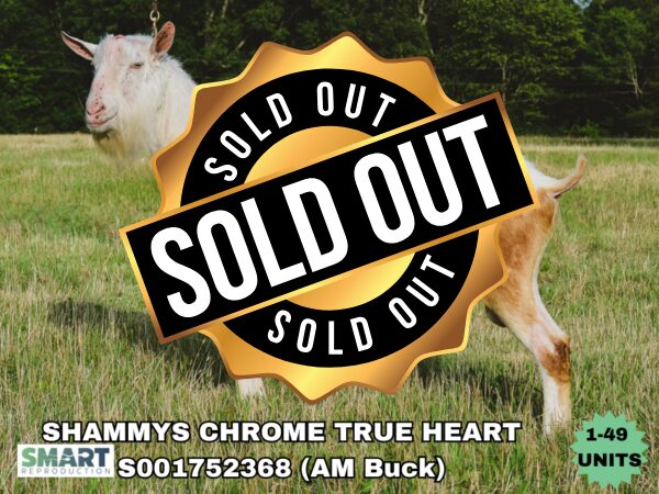SHAMMYS CHROME TRUE HEART, a dairy goat sire listed in the SMART Reproduction catalogue.