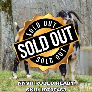 NNVH RODEO READY (1-49 Units)