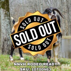 NNVH RODEO READY (50+ Units)